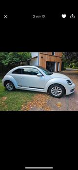 Volkswagen VW Beetle mit  Panoramadach - Volkswagen Beetle: Kleinwagen