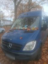 Mercedes-Benz Sprinter 313 - Mercedes-Benz Sprinter aus 2008: 313