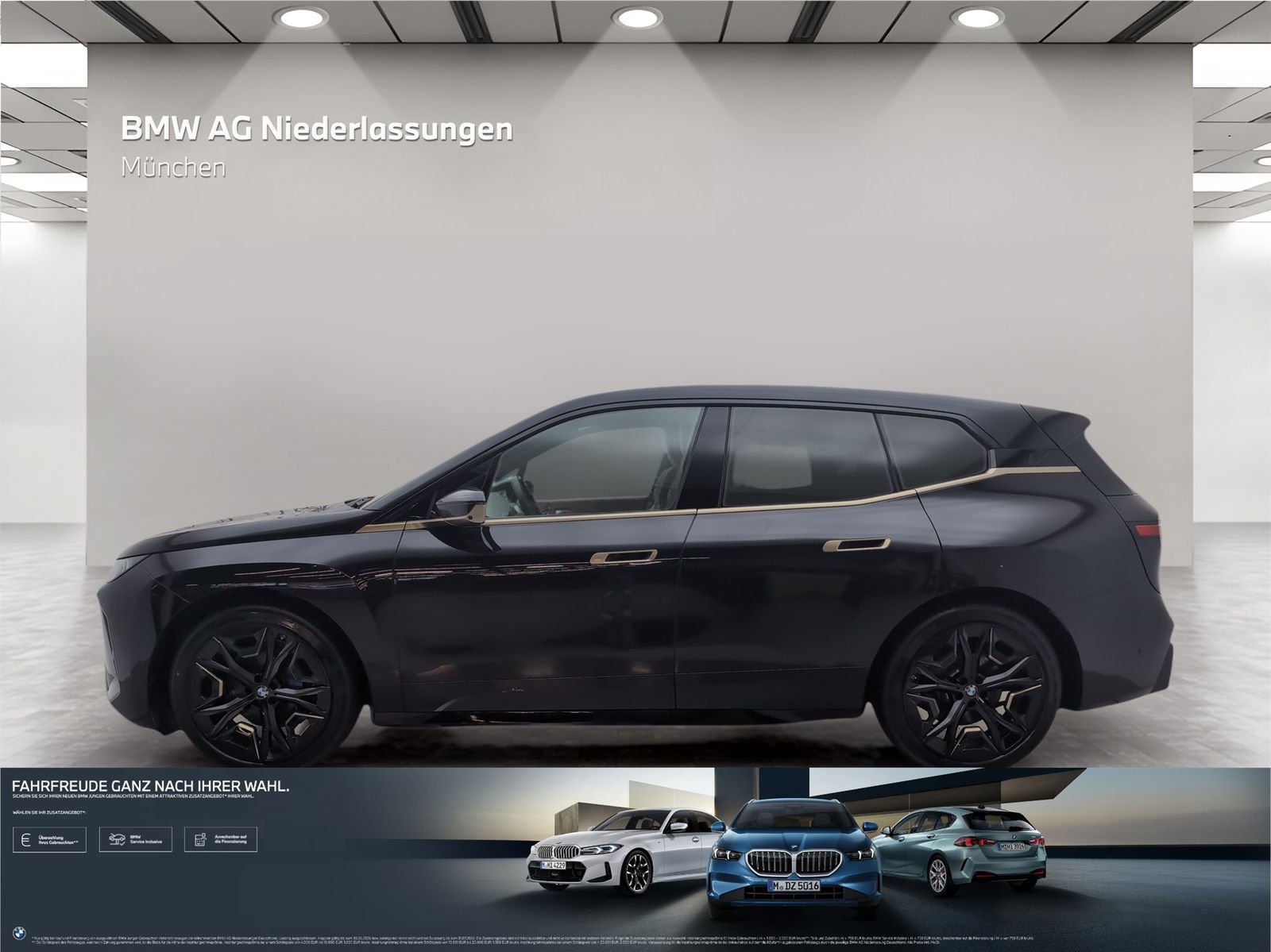 BMW iX xDrive45 M Sport AHK Driv.Assist.Prof Kamera imagem 2