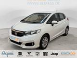 Honda Jazz Comfort SITZ.HZG TEMPOMAT ALU PDC vo+hi BLU - gebrauchte Honda Van