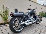 Harley-Davidson V-ROD MUSCLE VRSCF - HARLEY-DAVIDSON V ROD MUSCLE
