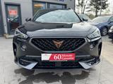 Cupra Formentor 2.0 TDI 4Drive - Cupra Gebrauchtwagen von 2022