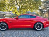 Ford Mustang 5.0 V8 GT Manual Sport/Premium Package - Ford Mustang in Nürnberg