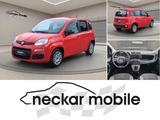Fiat Panda 1.0 Urban Klima Parktronik DAB Radio - Fiat Panda: 1.0
