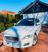 Jaguar Xj 3j luxury - Jaguar XJ aus 2013