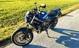 Suzuki SV 650 inkl. Werksgarantie (> 2 J. Restgarantie) - SUZUKI 650 R