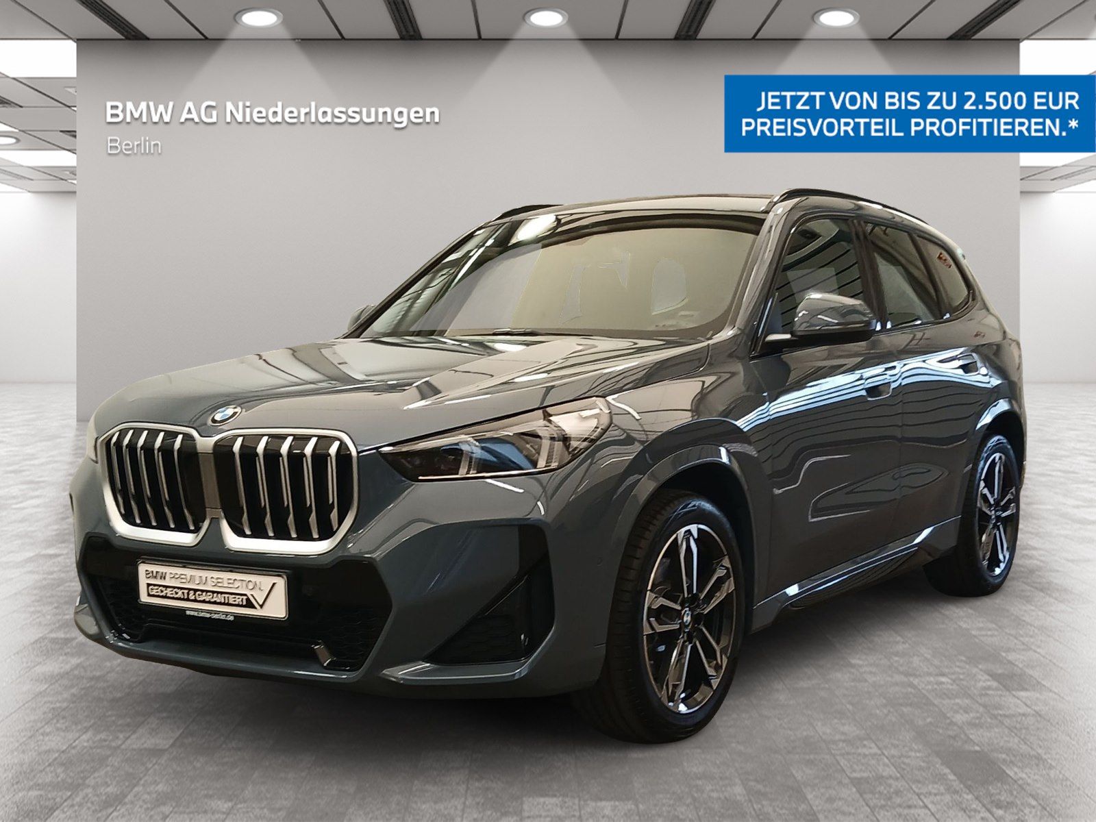 BMW X1 - Bild 1