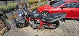 Suzuki Gsf 500 - SUZUKI 1995 GS500