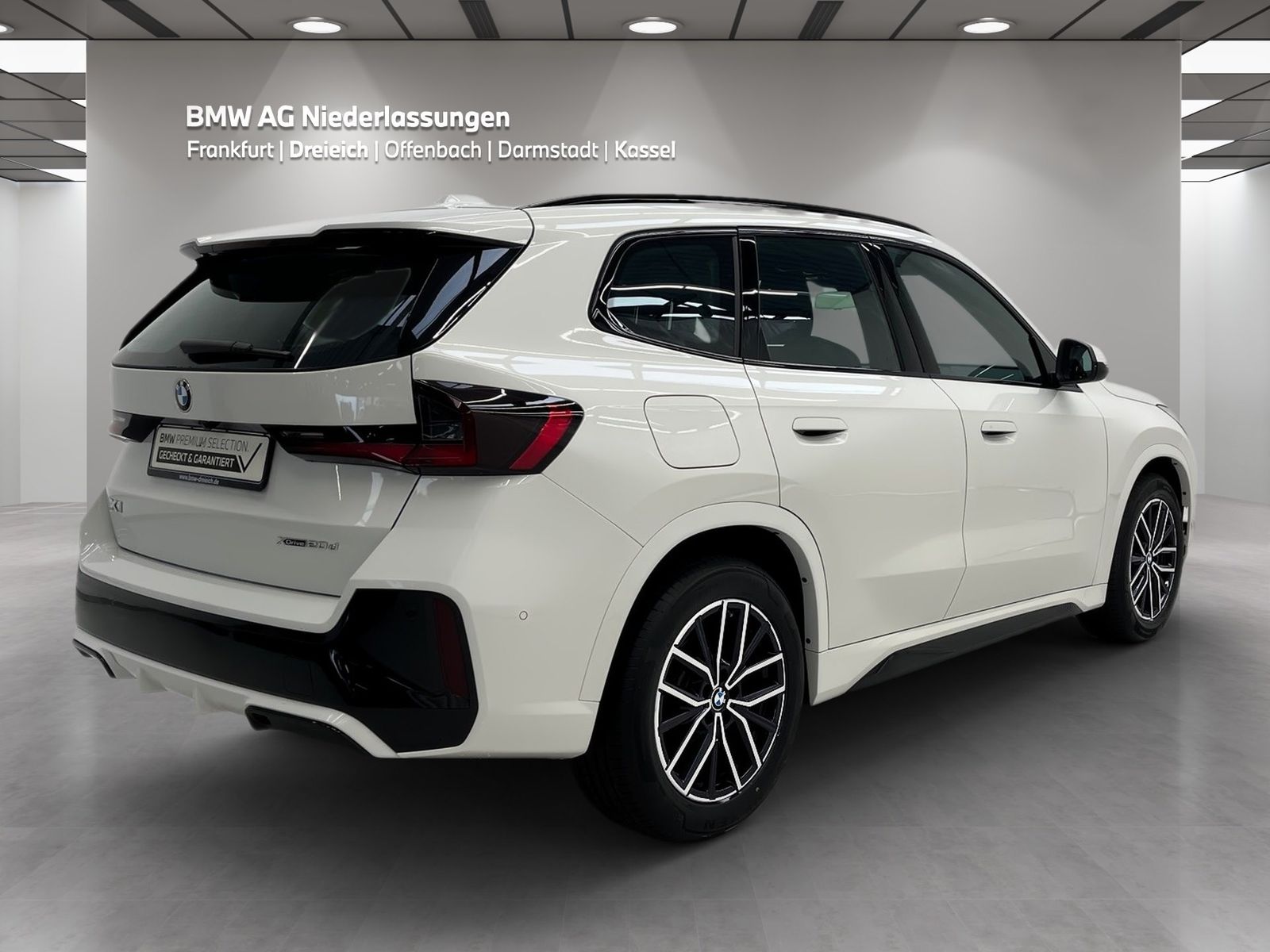 BMW X1 xDrive20d M Sport Driv.Assist Harman K LED foto 4