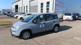 Fiat Panda Hybrid GSE 1,0 70 PS Grau - Fiat Panda aus 2022