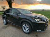 Lexus NX 300 