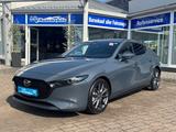 Mazda 3 Head-Up Bose NAVI Lenkradhzg. 360* Kamera - gebrauchte Mazda 3 aus dem Jahr 2019