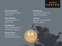 Geely Starray EM-i - Vorschau Bild 9