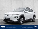 Hyundai KONA Style Elektro 2WD Navi Soundsystem LED Sche