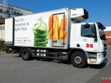 DAF CF 75.310 Carrier Tiefkühl - DAF Cf 75