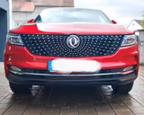 DFSK Fengon 5 - scheckheftgepflegte DFSK Gebrauchtwagen