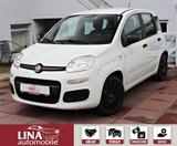 Fiat Panda 1.2 1.Hd*ZahnriemenNEU*BremsenNEU*Klima - Fiat Panda: Weiß