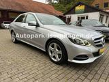 Mercedes-Benz E 250 BlueTEC 4MATIC AVANTGARDE Autom.*Pano*4xSH - Mercedes-Benz E 250 mit Diesel-Antrieb