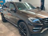 Mercedes-Benz ML 350 CDI BlueTec/R-CAM/TWA/ACC/LED/S-Dach - Mercedes-Benz Ml