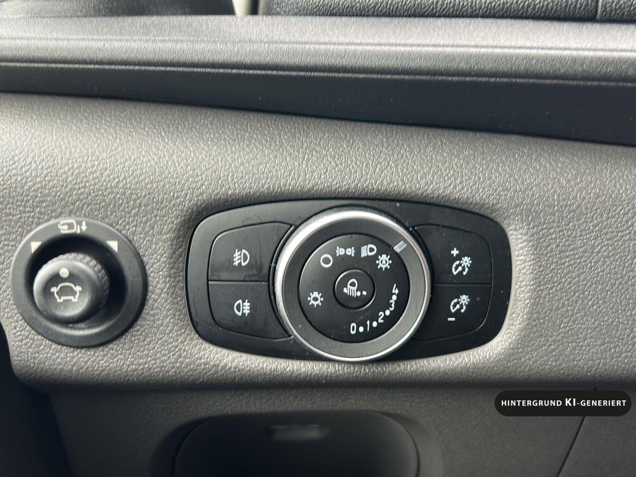 Ford Transit 350 L3 Trend Bluetooth Klima el. Fenster
