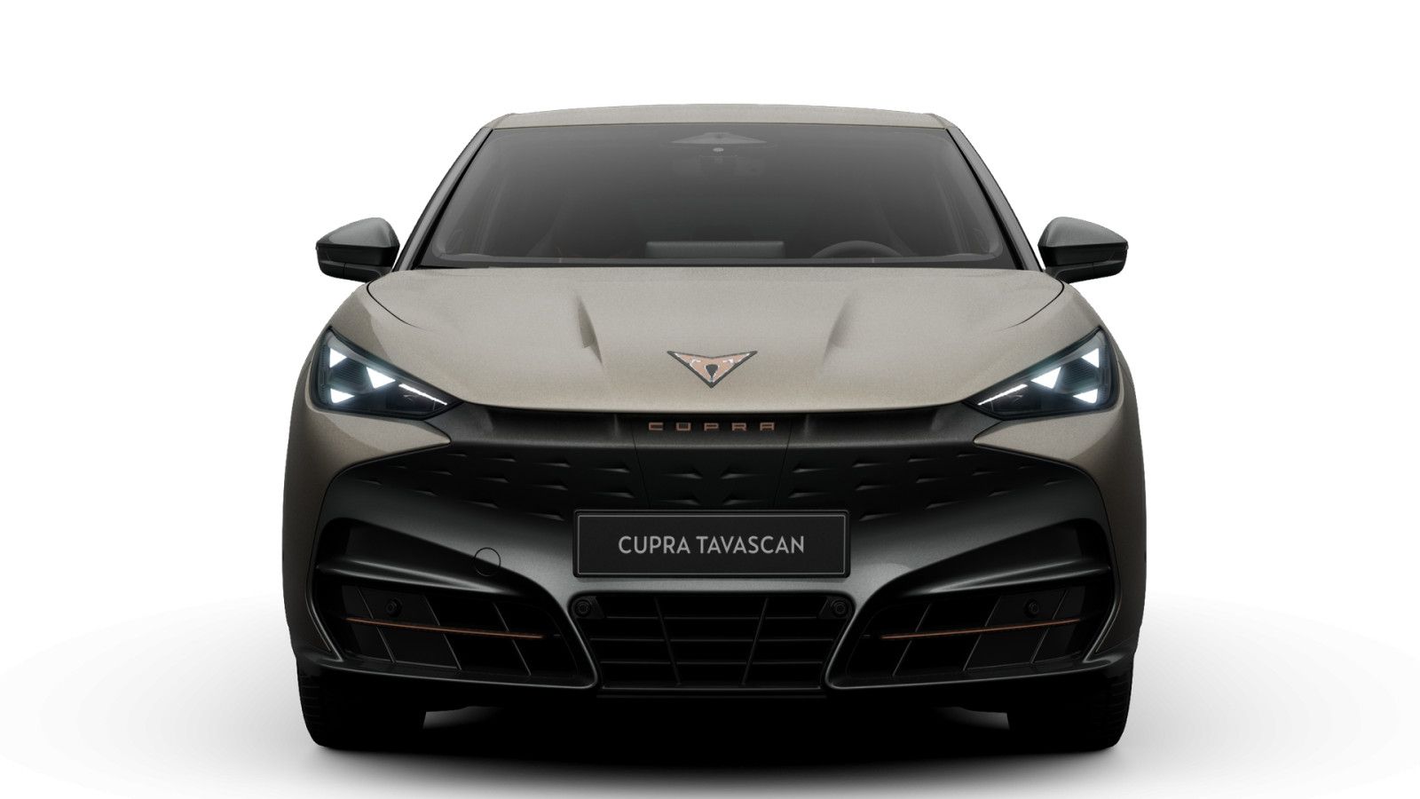 Cupra Tavascan Endurance 210 kW DRIVE PACK, WINTER PAC imagem 2