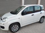 Fiat New Panda Pop 1.2 8V - Fiat New Panda von privat