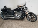 Harley-Davidson V-Rod Muscle - Angebote
