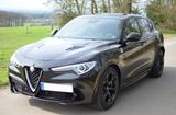 Alfa Romeo Stelvio 2.9 V6 Bi-Turbo Quadrifoglio 510 PS - Alfa Romeo: 2.5