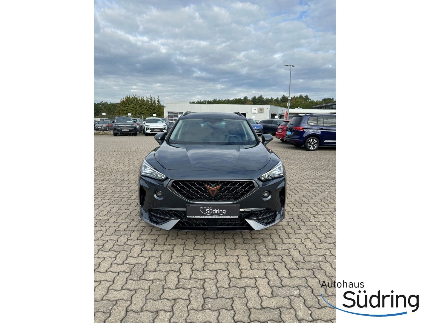 Formentor 1,5 TSI DSG AHK Navi ACC El.Heckklappe