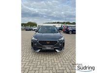 Cupra 