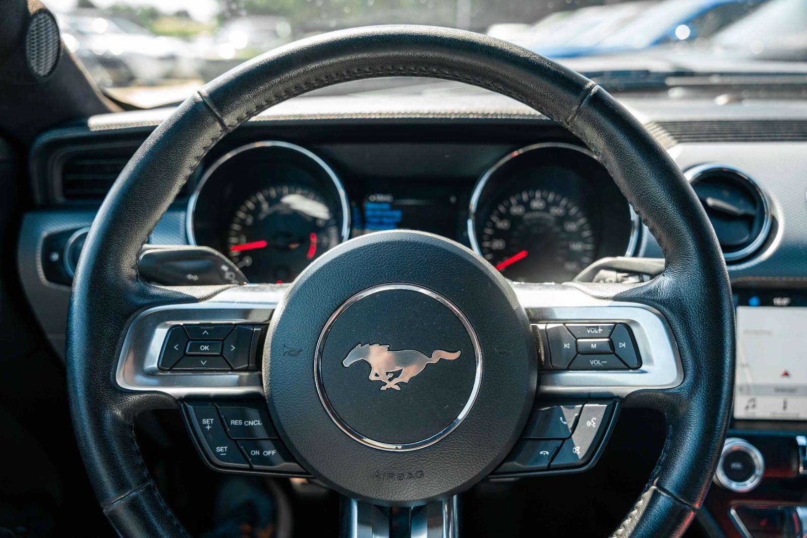 Ford Mustang GT 5,0 Gt 350 SHELBY PREMIUM VOLL