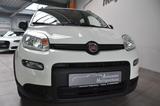Fiat Panda City Life Hybrid Klima DAB UConnect PDC - Fiat Panda mit Hybrid-Antrieb