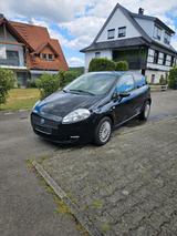 Fiat Gebrauchter Fiat Punto 199 - Fiat Punto: 199