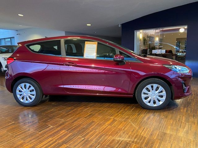 Fahrzeugabbildung Ford Fiesta 1.0EB Transporter Benzin/Ethanol NAVI+RFK