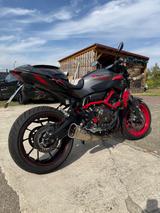 Yamaha Mt07 Moto Cage  - YAMAHA MT 07 MOTO CAGE