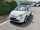 Fiat 500 1.2 8V Anniversario Anniversario