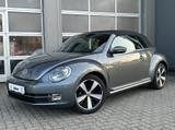 Volkswagen Beetle Cabriolet "Club" Shz Xenon PDC Bluetooth - graue Volkswagen Beetle