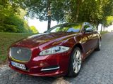 Jaguar XJ Portfolio 3.0 V6 - Jaguar XJ aus 2012