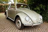 Volkswagen Käfer - Volkswagen Käfer: Sportwagen