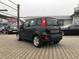 Fiat New Panda 1.0 Hybrid *5 Sitzer Klima Komfort* - Fiat New Panda aus 2024