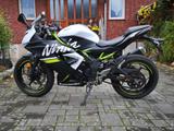 Kawasaki Ninja 125 - KAWASAKI NINJA 125