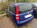 Fiat Panda 1.2 Dualogic - Fiat Panda mit Halbautomatikschaltung