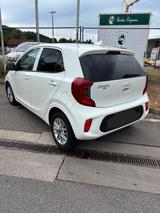 Kia Picanto 1.0 Vision Vision - gebrauchte Kia Picanto aus dem Jahr 2023