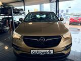 Opel Grandland (X) Automatik/Glasdach/Kamera - Opel Grandland (X) mit Schiebedach