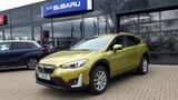 Subaru XV 2,0ie Boxer Comfort Lineartr. WR. - Subaru XV aus 2024
