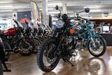 Royal Enfield BEAR 650, sofort lieferbar, Lieferservice - Royal Enfield Bear 650
