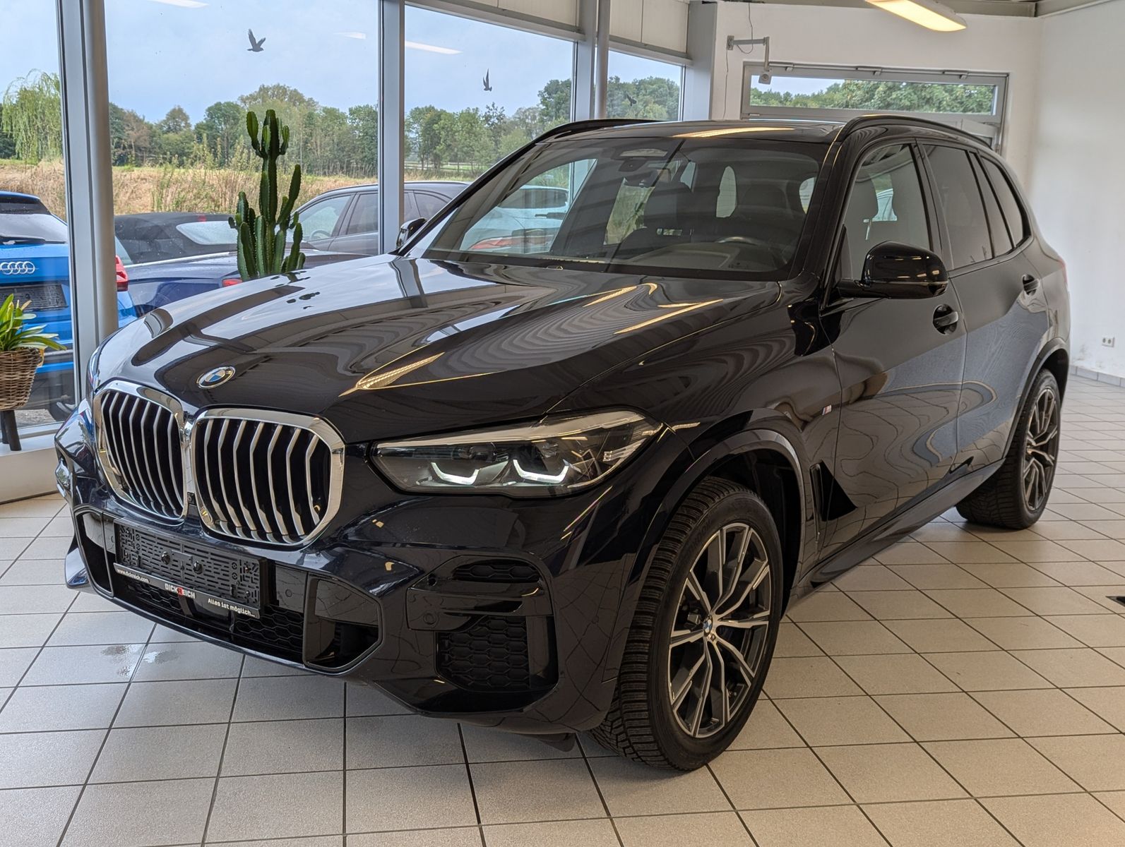 Fahrzeugabbildung BMW X5 xD 30 d M-Sport Pano ACC 360° AHK Dashcam