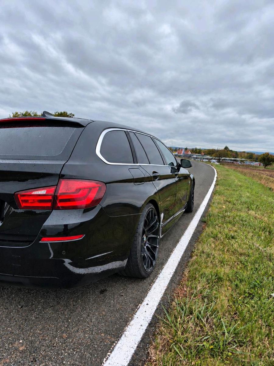 BMW 520 2012 — rear view