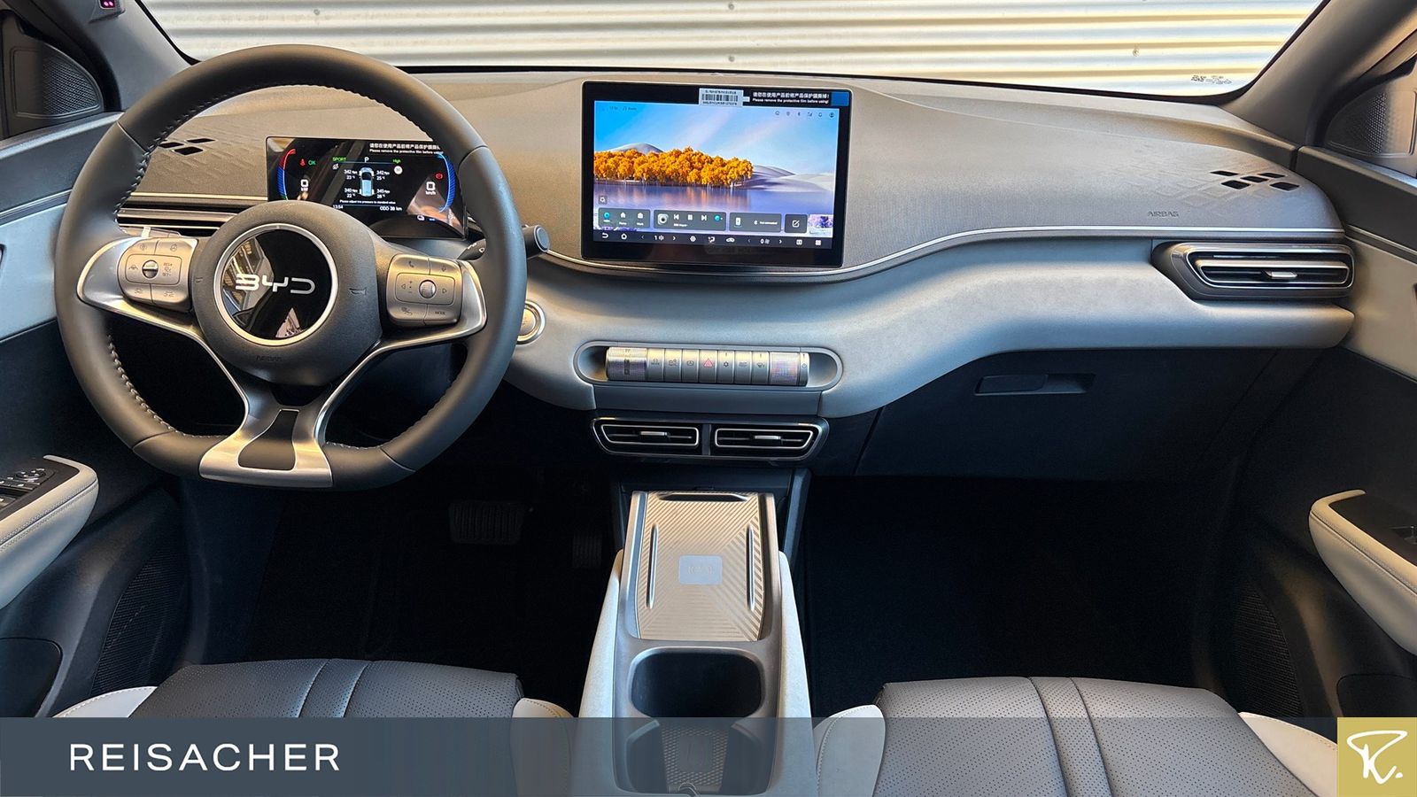 BYD DOLPHIN SURF