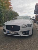 Jaguar XF 30d 300PS Prestige Automatik Prestige - Jaguar: X300